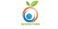 Logo Item